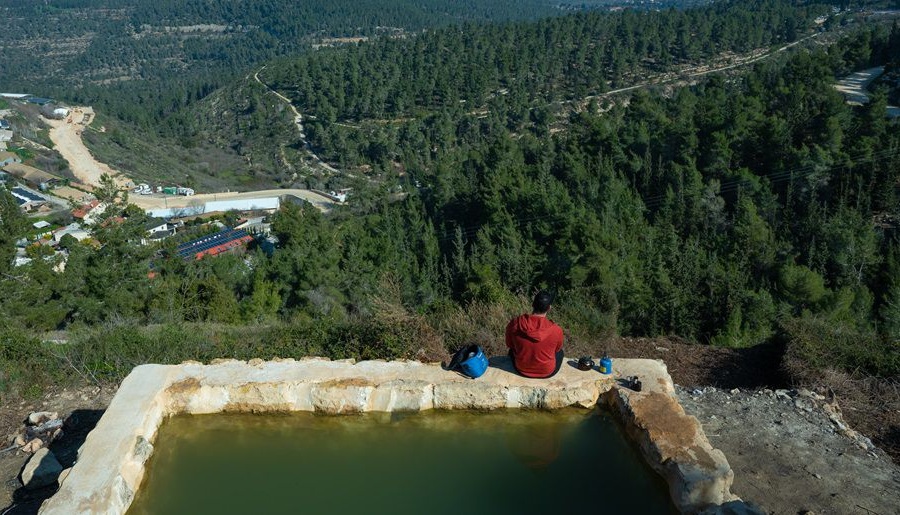The Springs Trail in Aminadav Forest. Photo: Ilan Shaham, KKL-JNF Photo Archive

