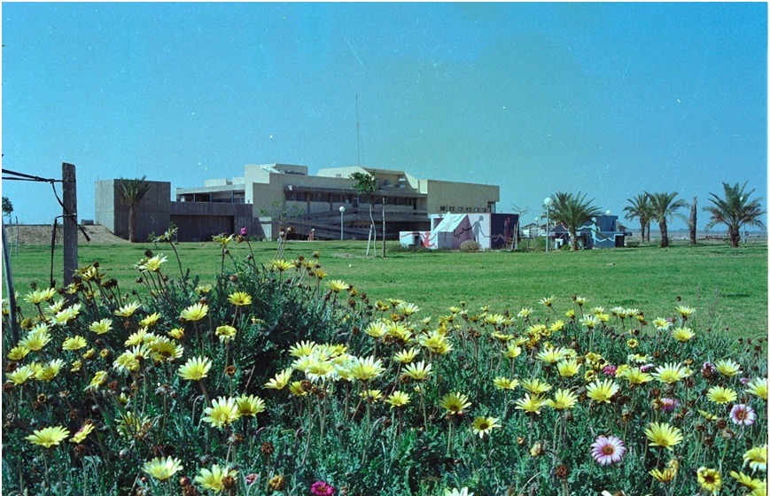 חולית, נוי ופרחים, פברואר 1985. צילום: ישראל סיני, ארכיון הצילומים של קק"ל