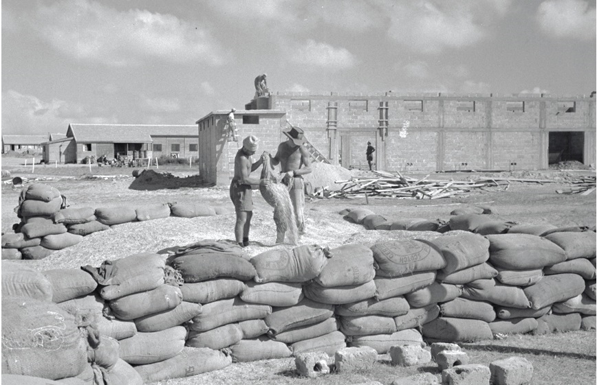 עין השלושה, הגורן ובניית מחסן התבואה, 1952. צילום: אדגר הירשביין, ארכיון הצילומים של קק"ל
