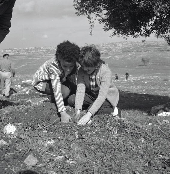 Keren Kayemeth LeIsrael - KKL-JNF - KKL-JNF Turns 122 Marking Over 100 ...