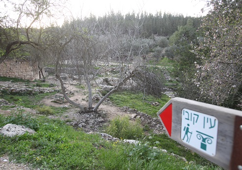 Ein Kobi. Photograph: Yossi Zamir, KKL-JNF Photo Archive