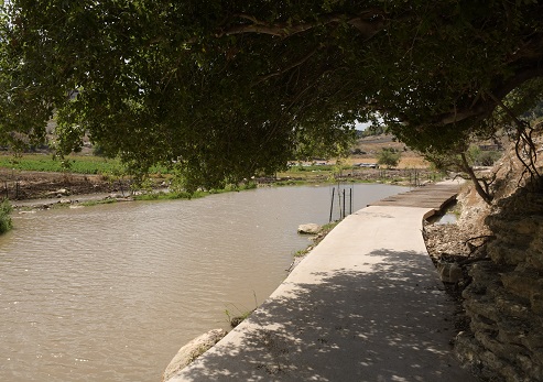 Tzipori Stream. Photograph: Israel Peretz, KKL-JNF Photo Archive