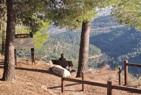 Photograph: Yaacov Shkolnik, KKL-JNF Photo Archive