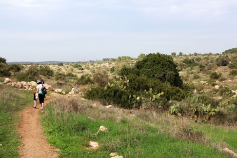 Photograph: Yaacov Shkolnik, KKL-JNF Photo Archive