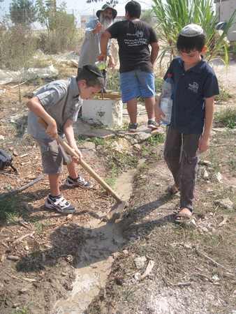 hildren learn how to plough in Beit Shemesh Ecological Farm. Photo: Yoav Devir.