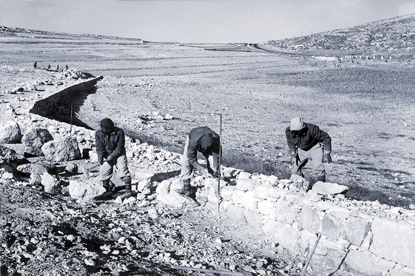 New immigrants construct terraces near Eshtaol, 1954. KKL-JNF Photo Archive