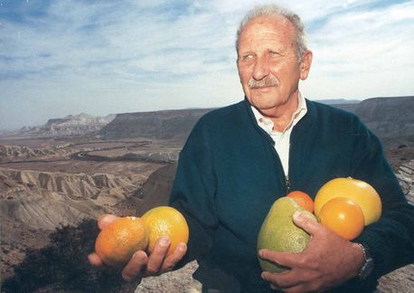 Citrus fruit in the Negev, held by LDA head David Nahmias. KKL-JNF Photo Archive