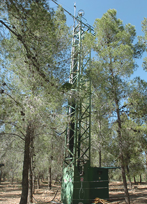 Monitoring station in Yatir Forest.

(Photo: David Greenspan, KKL-JNF Photo Archive)