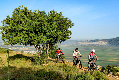 Bikers on the single in Turan Forest. (Photo: Ilan Shaham, KKL-JNF Photo Archive)