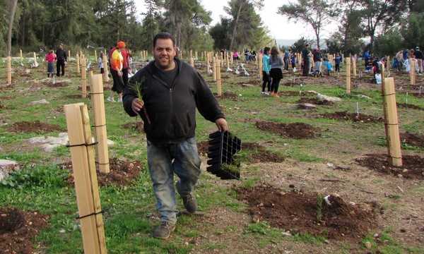 Planting trees in the newly dedicated Shaalvim community forest. Photo: Tania Susskind