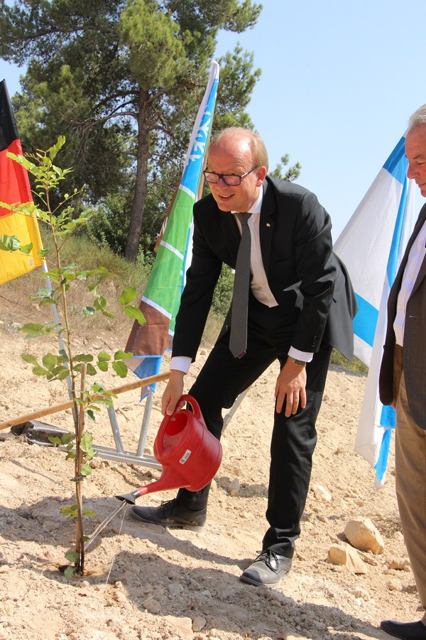 Andre Kuper gives his newly planted carob tree its first irrigation. Photo: KKL-JNF