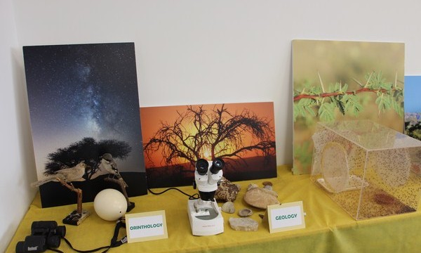 Displays at the Environmental Science Education Centre for children in the Arava. Photo: Yoav Devir