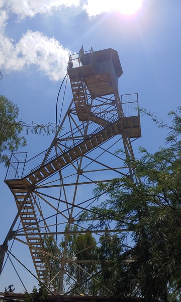 Beeri Forest watchtower. Photo: Bracha Stein