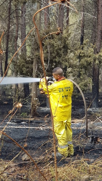KKL-JNF firefighter battles the flames in Ben Shemen Forest, May 2019. Photo: KKL-JNF Photo Archive