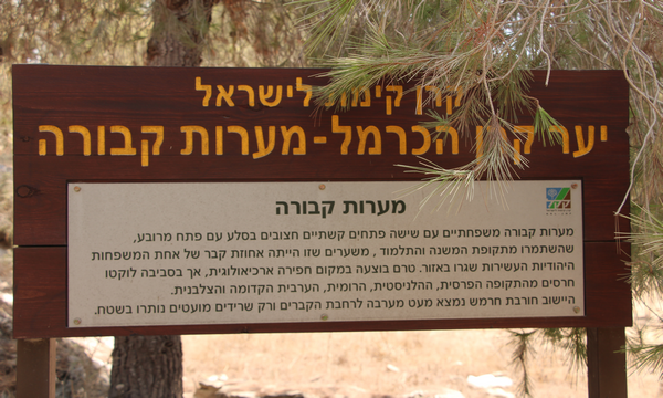 Keren Carmel Forest information sign. (Photo: KKL-JNF Photo Archive)