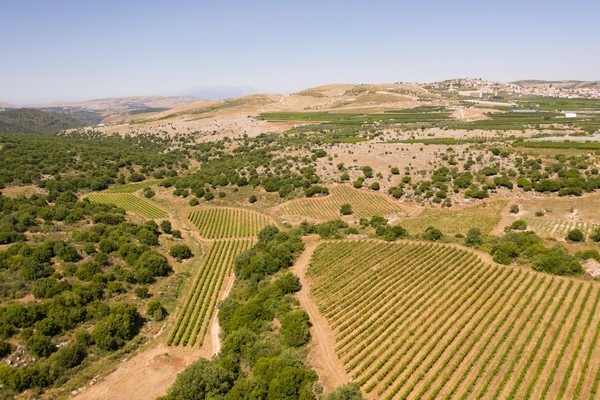 Golan Heights. (Photo: Guy Lumer, KKL-JNF Photo Archive)