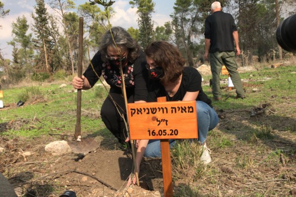 Photo: Gideon Sharon, KKL-JNF Photo Archive