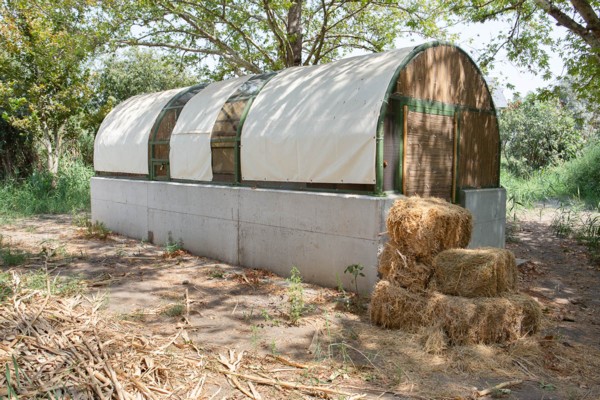 The Acclimation Center for Wildlife at Hula Lake Park. (Photo: Yoni Sheffer, KKL-JNF Photo Archive)