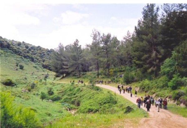 Baraam forest trip. KKL-JNF Photo Archive.