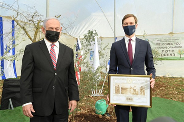 Prime Minister Benjamin Netanyahu and Senior Advisor to the President of the United States Jared Kushner presenting the certificate commemorating his registration in KKL–JNF’s Golden Book, against the background of the olive tree he had planted. (Photo: Marc Israel Sellem)