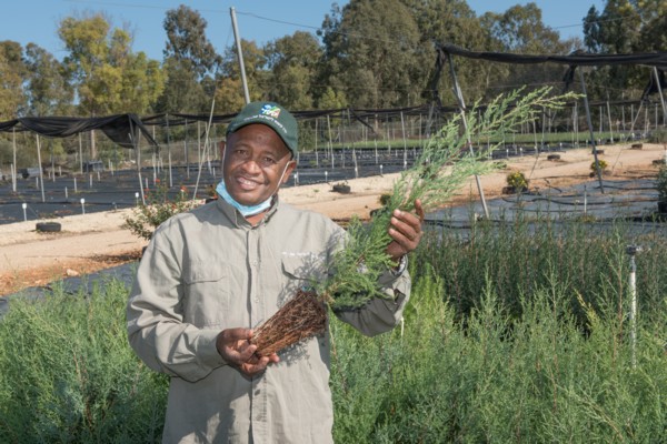 Hiruy Amare, director of the KKL-JNF Golani Nursery (Photo: Dennis Zinn, KKL-JNF Photo Archive)