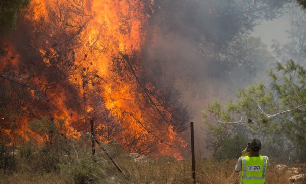 Forest fire at a settlement (Moshav) near Jerusalem. (Photo: Flash90, KKL-JNF Photo Archive)