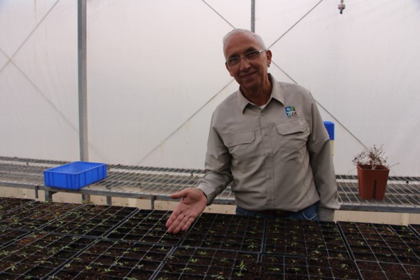 Pablo Chercasky, director of Gilat nursery. (Photo: KKL-JNF Photo Archive)