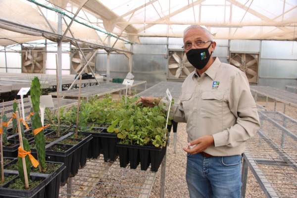 Chercasky with saplings inside the propagation greenhouse. (Photo: KKL-JNF Photo Archive)