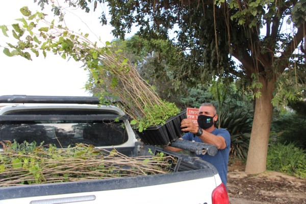 Loading trays of seedlings onto a flatbed truck. (Photo: KKL-JNF Photo Archive)