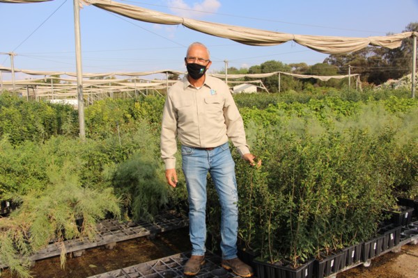 Chercasky at the Plant Seedling Cultivation Plots. (Photo: KKL-JNF Photo Archive)