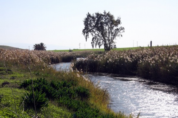 Rehabilitated Nahal HaKibbutsim (Photo: Yaakov Shkolnik, KKL-JNF Photo Archive)