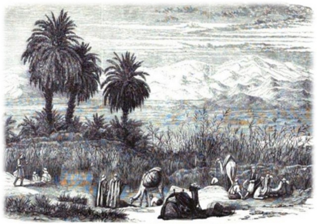 Date oasis in Ein Wiba in 1838. Drawing by Eduard Rubinson