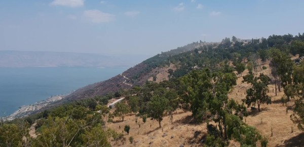 Breathtaking views of the Kinneret (the Sea of Galilee) at Switzerland Forest. (Photo: KKL-JNF Photo Archive)