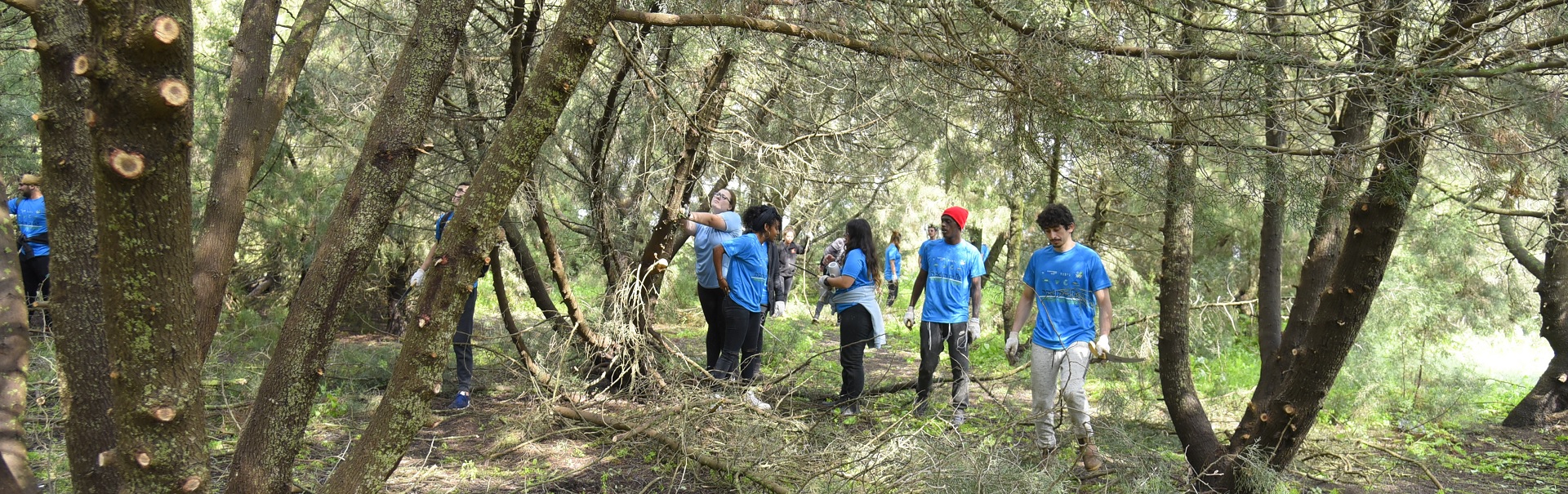 Volunteer Work in Israel - Keren Kayemeth LeIsrael - KKL-JNF