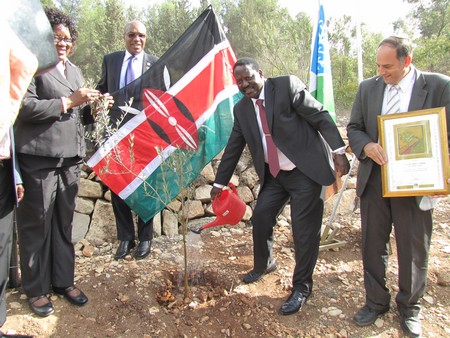 Kenyan Prime Minister watering the new sapling. Photo: KKL-JNF Photo Archive