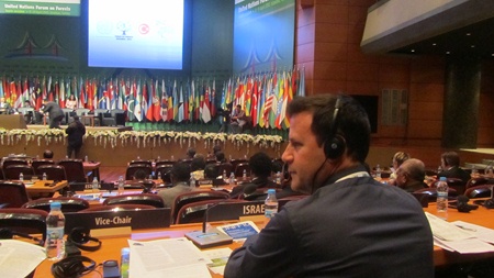Israel at the 10th UN Forum on Forests. Photo: KKL-JNF Photo Archive