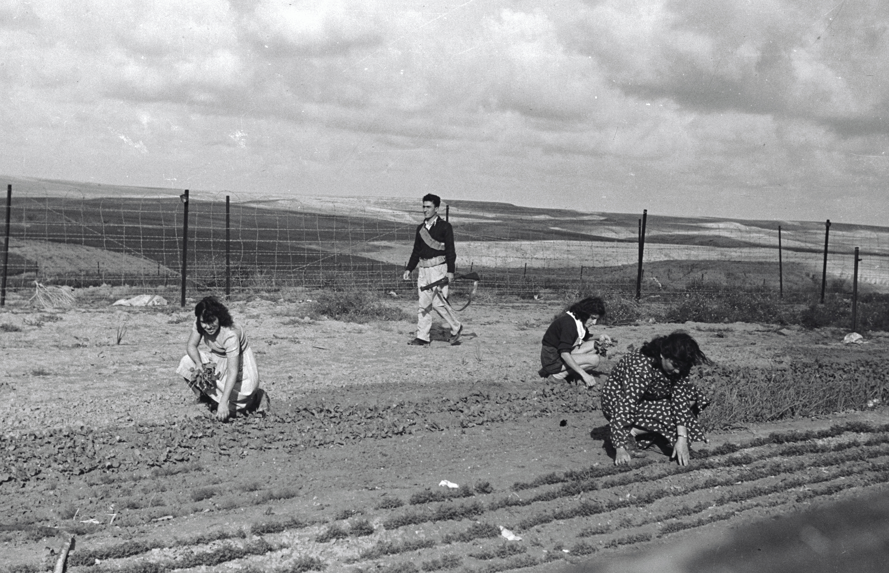 Beeri, working the fields, 1948, Lasar Dunner KKL-JNF Photo Archive