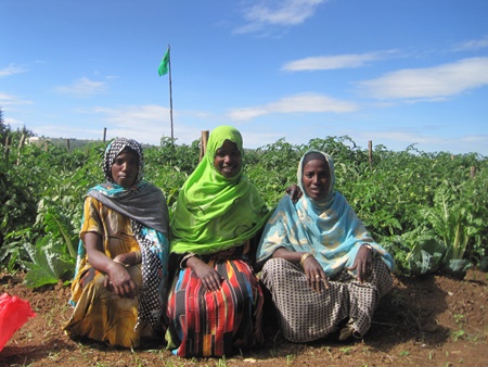 Ethiopian farmers on the Seeds of Hope program. Photo: KKL-JNF