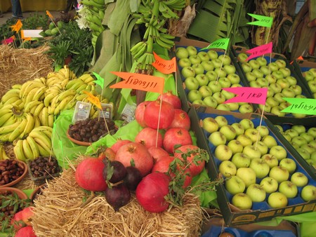 KKL-JNF Research Activity