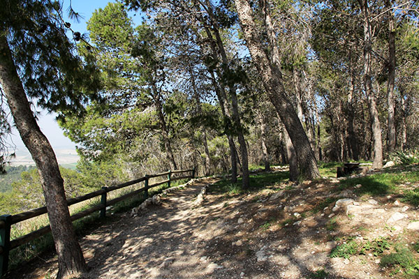 Danny Raviv Recreation Area lookout in Presidents Forest-Tzora. Photo: KKL-JNF Photo Archive