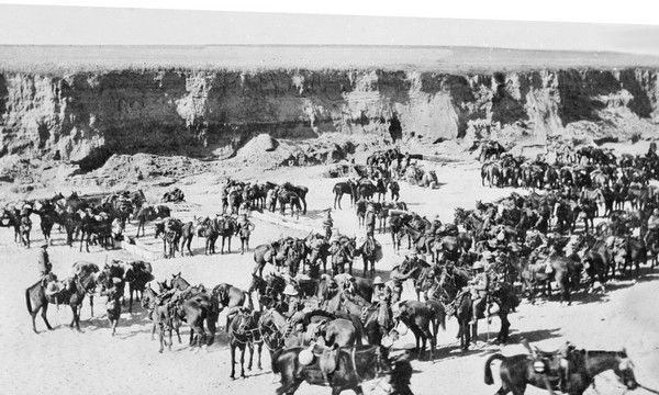 Horses drink at Tel Gama after 2nd Gaza Battle, part 1. Aust. War Memorial