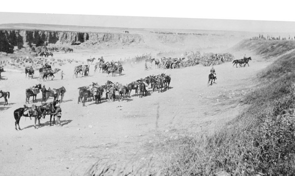 Horses drink at Tel Gama after 2nd Gaza Battle, part 2. Aust. War Memorial