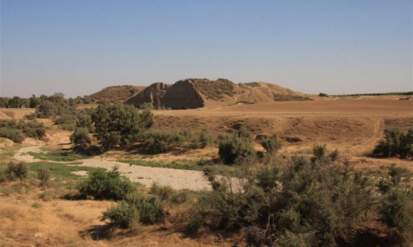 Tel Gama looms over the Besor Stream. Photo: Yakov Shkolnik, KKL-JNF Photo Archive