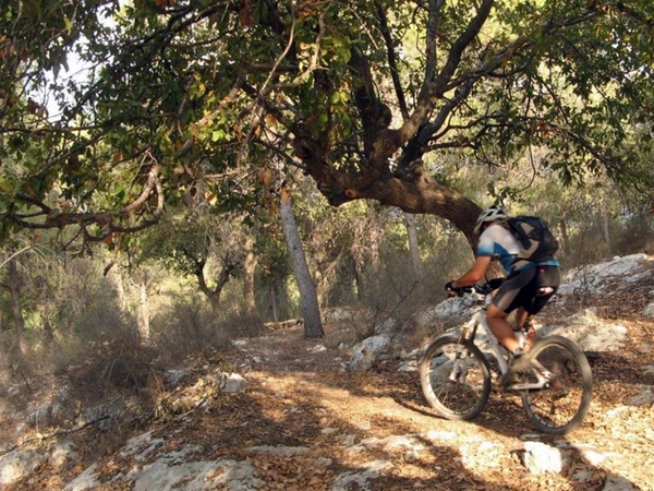 Riding along the Alon HaGalil single. Photo by Orit Barnea