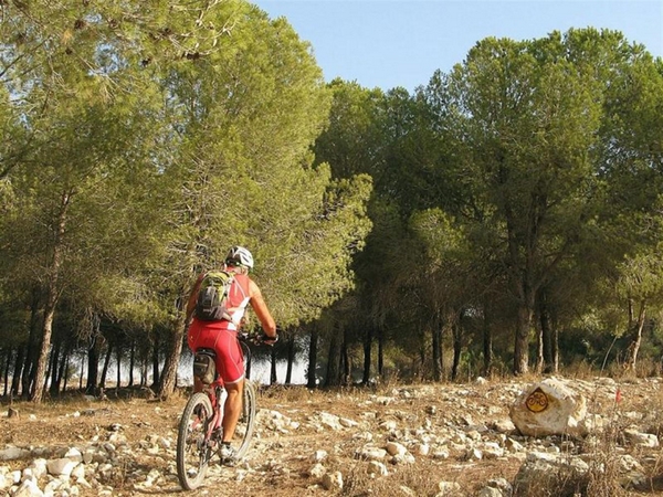 Riding along the Alon HaGalil single. Photo by Orit Barnea