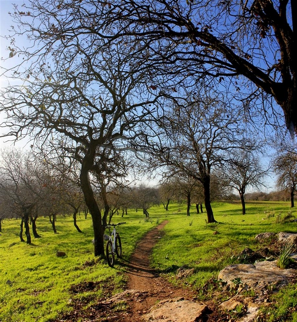 The Alon HaGalil bike single. Photo by Yoav Lavie