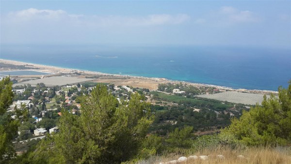A view of the sea from Mount Carmel. Photo: Pnina Levanon