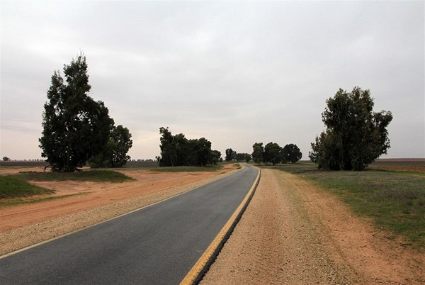 The field trail in the Negev. Photo: Yaakov Skolnik.