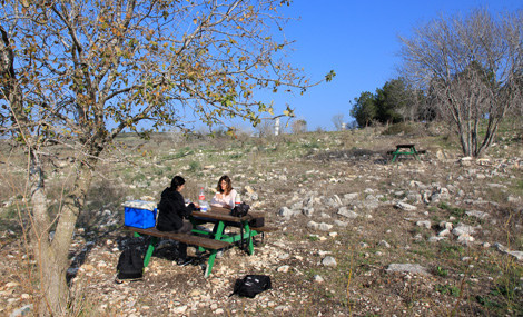 Photo: Yaakov Shkolnik