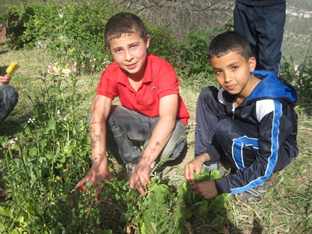 L-R: Adnan Shweiki and Daoud Abu-Seriya working in the garden. Photo: Yoav Devir